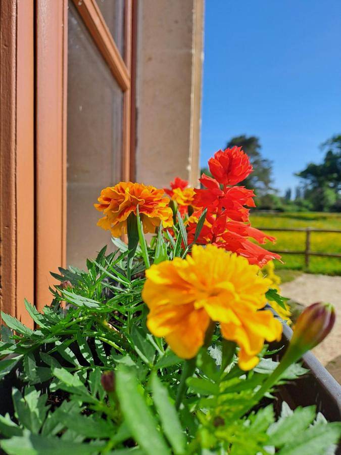 Hôtel pour 2 personnes, avec vue et jardin dans Moncoutant-sur-Sèvre - 3