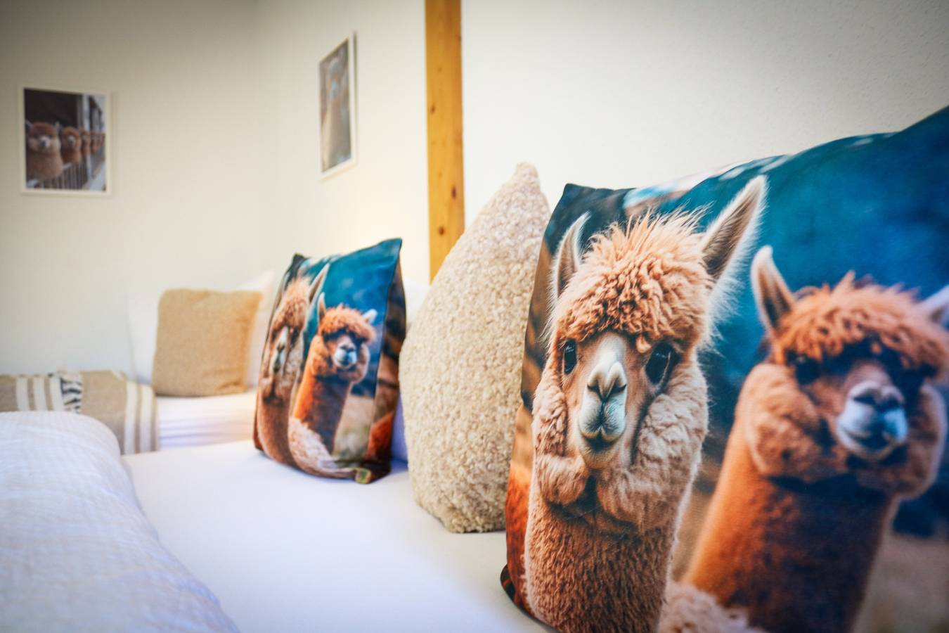 Amazing Alpaca - Familienzimmer für bis zu 3 Personen und kleiner Terrasse in Schluchsee, Südschwarzwald