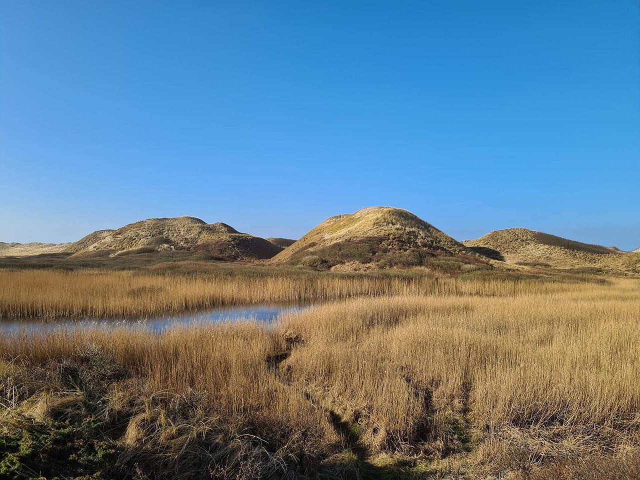 Gemutliches Strandhaus in Kjul -- By Traum Ferienwohnungen in Hirtshals, Tannisbucht
