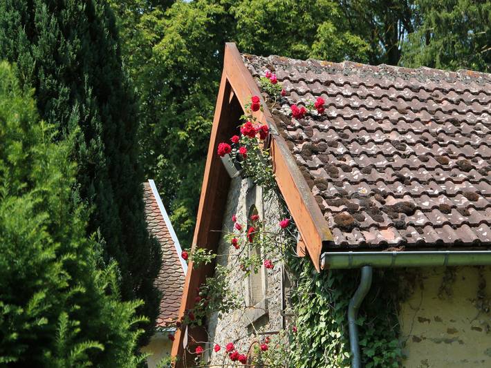 Château avec parc privé et courts de tennis in Anrosey, Haute-Marne