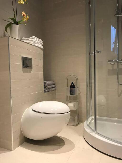 Ganze Wohnung, Topp moderne suite. in Larvik