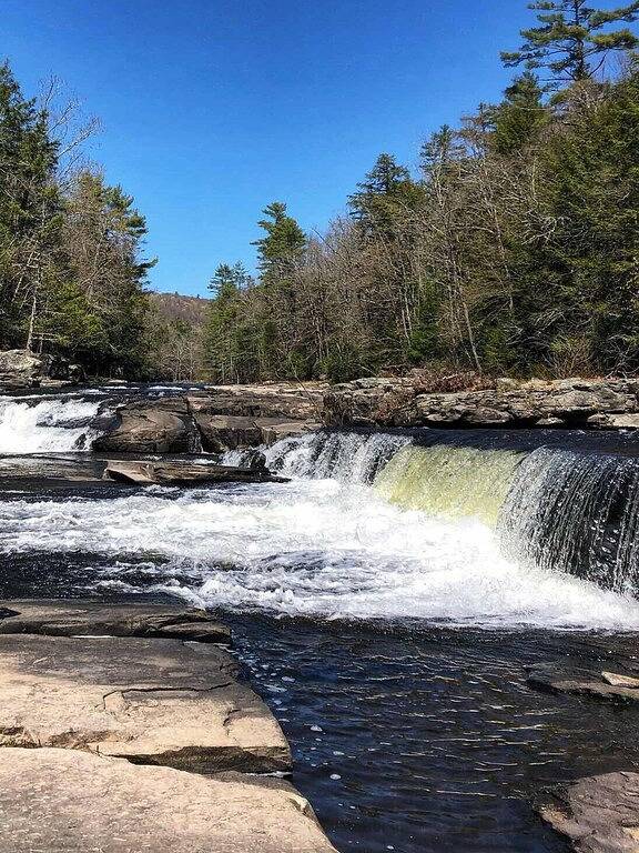 Trails Head Cabin in Sullivan County