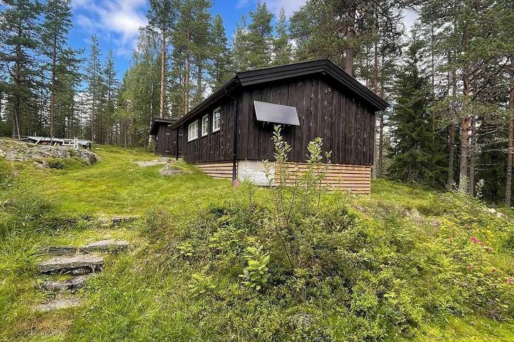 Trehytte for 6 personer, dyr tillatt i Hedmark