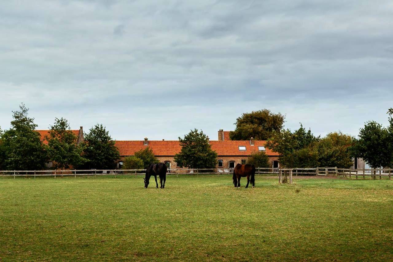 Het Zwaluwnest in Slijpe, Middelkerke