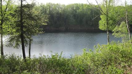 Log Cabin for 4 People in Vermont, USA, Photo 4