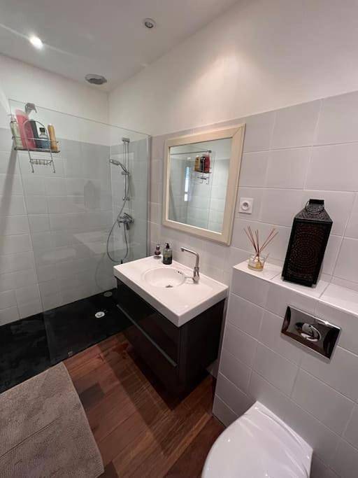 Villa pour 10 personnes, avec jardin et piscine à Bordeaux - 3