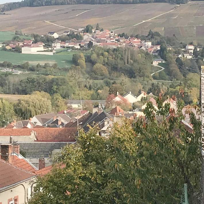 Location de vacances pour 2 personnes, avec vue à Châtillon-sur-Marne - 4
