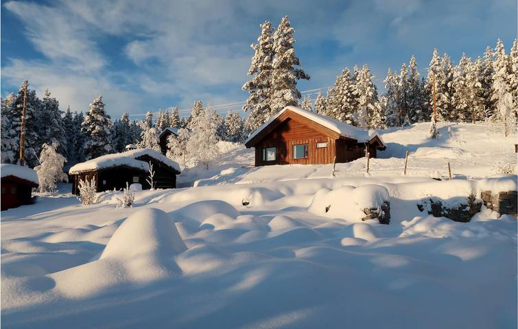 Ferienhaus für 10 Personen in Skogbygda, Jotunheimen