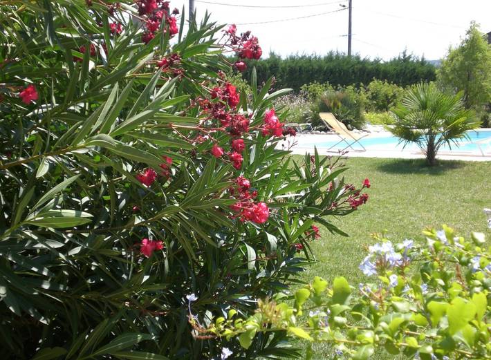 Location de vacances pour 3 personnes, avec jardin et piscine à Saint-Jean-de-Maruéjols-et-Avéjan - 4