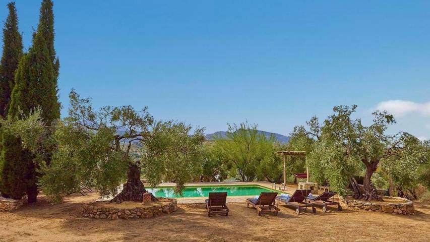 Casa rural para 6 personas, con piscina y jardín en Algodonales - 3