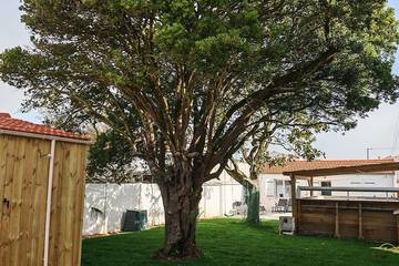 Location de vacances pour 6 personnes, avec jardin dans Port de la Cotinière