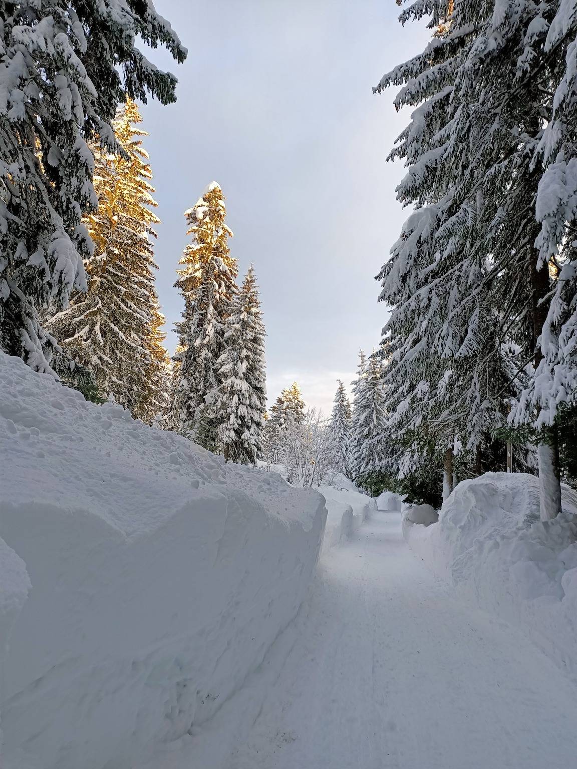 Hel lejlighed, Ferielejlighed for 8 personer in Danta di Cadore, Østlige Dolomitter