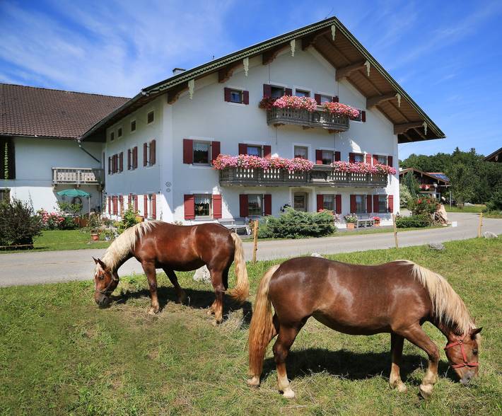 Ferienhaus für 4 Personen, mit Balkon und Terrasse sowie Garten und Sauna in Siegsdorf