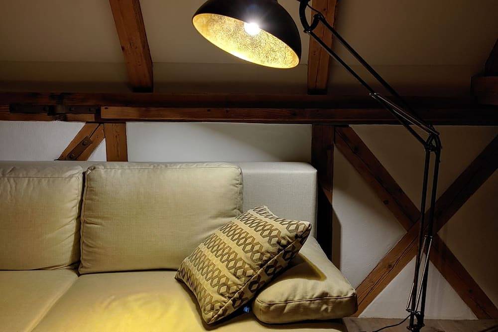 Ganze Wohnung, Exclusive Studiowohnung mit Dachterrasse und Vesteblick im Cortendorfer Stadel in Coburg, Oberes Maintal - Coburger Land