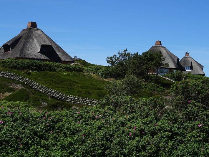 Ganze Ferienwohnung, Rüm Hart, Whg.8 in Nordfriesische Inseln (Schleswig-Holstein) (Schleswig-Holstein), Hörnum