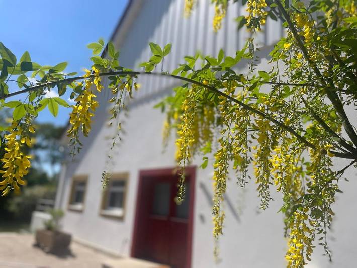 Ferienwohnung für 4 Personen, mit Garten und Terrasse sowie Ausblick in Halle (Westfalen)