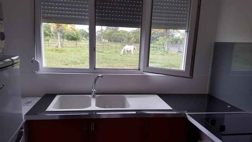 Gîte pour 2 personnes, avec terrasse dans Guyane française - 2