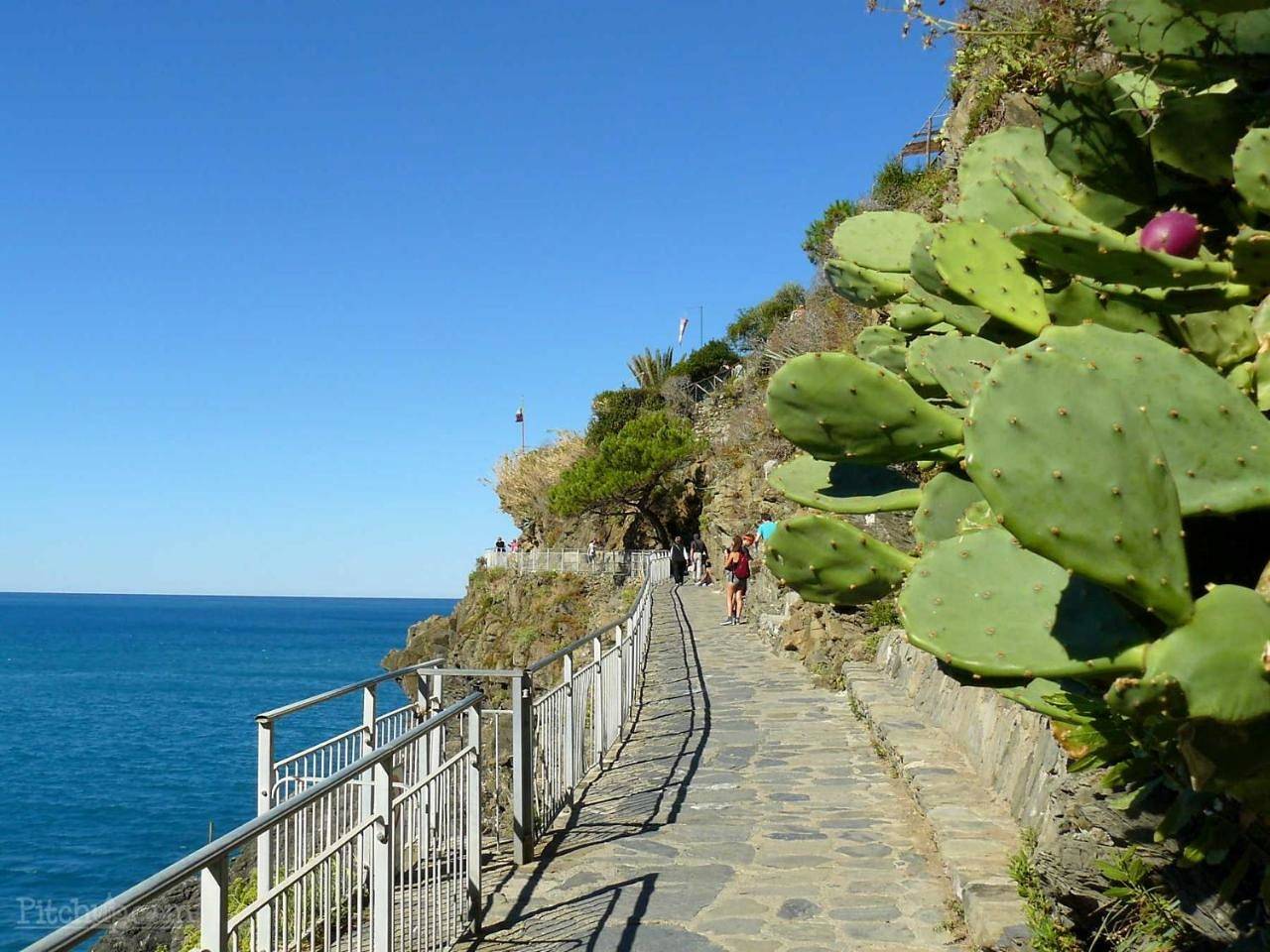 Camping La Sfinge in Deiva Marina, Riviera di Levante