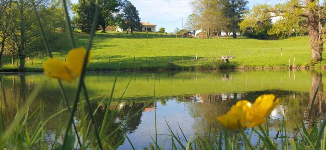 Maison de vacances pour 6 personnes, avec piscine ainsi que terrasse et vue
