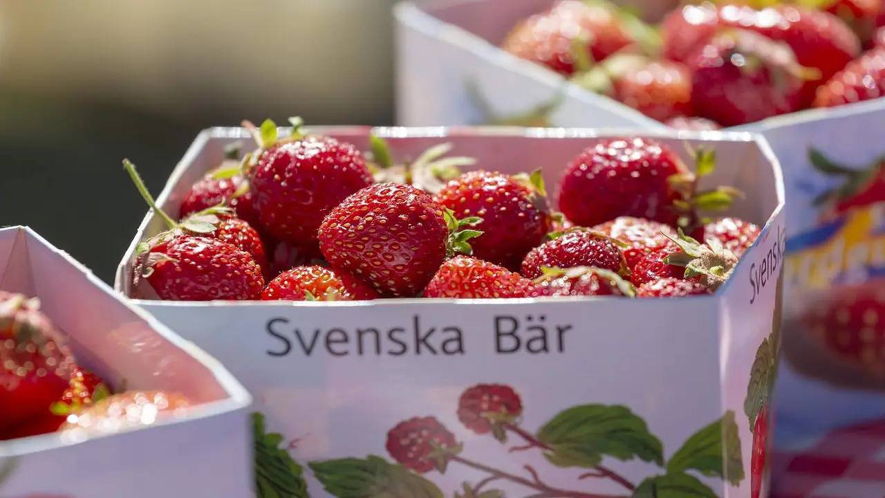 Ferienhaus für 4 Personen (64 m²) in Boda in Stensjön, Jönköpings län