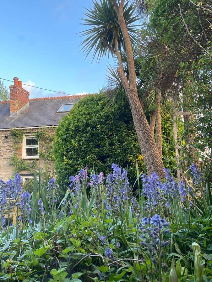 Double Room in Wadebridge, Cornwall