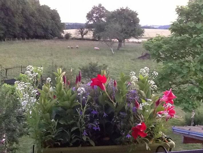 Gîte pour 5 personnes, avec jardin ainsi que piscine et terrasse à Neuillé-le-Lierre - 3