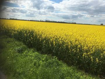 Ferienwohnung für 5 Personen in Binz, Rügen, Bild 4
