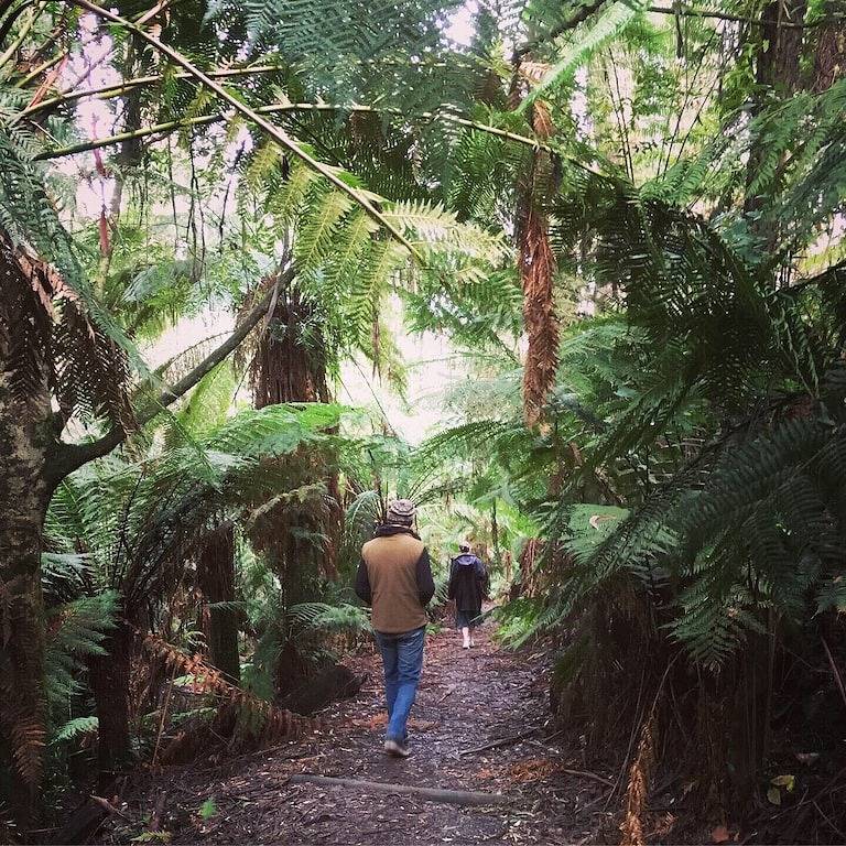 Wild Orchid Olinda - Privates Ferienhaus für Selbstversorger in Olinda (Victoria), Victoria