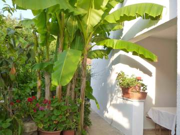 Ferienwohnung für 5 Personen in Poreč, Grad Poreč, Bild 3