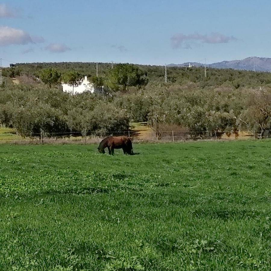 Apartamento entero, Finca Los Jacaros in Ventorros de la Laguna, Loja