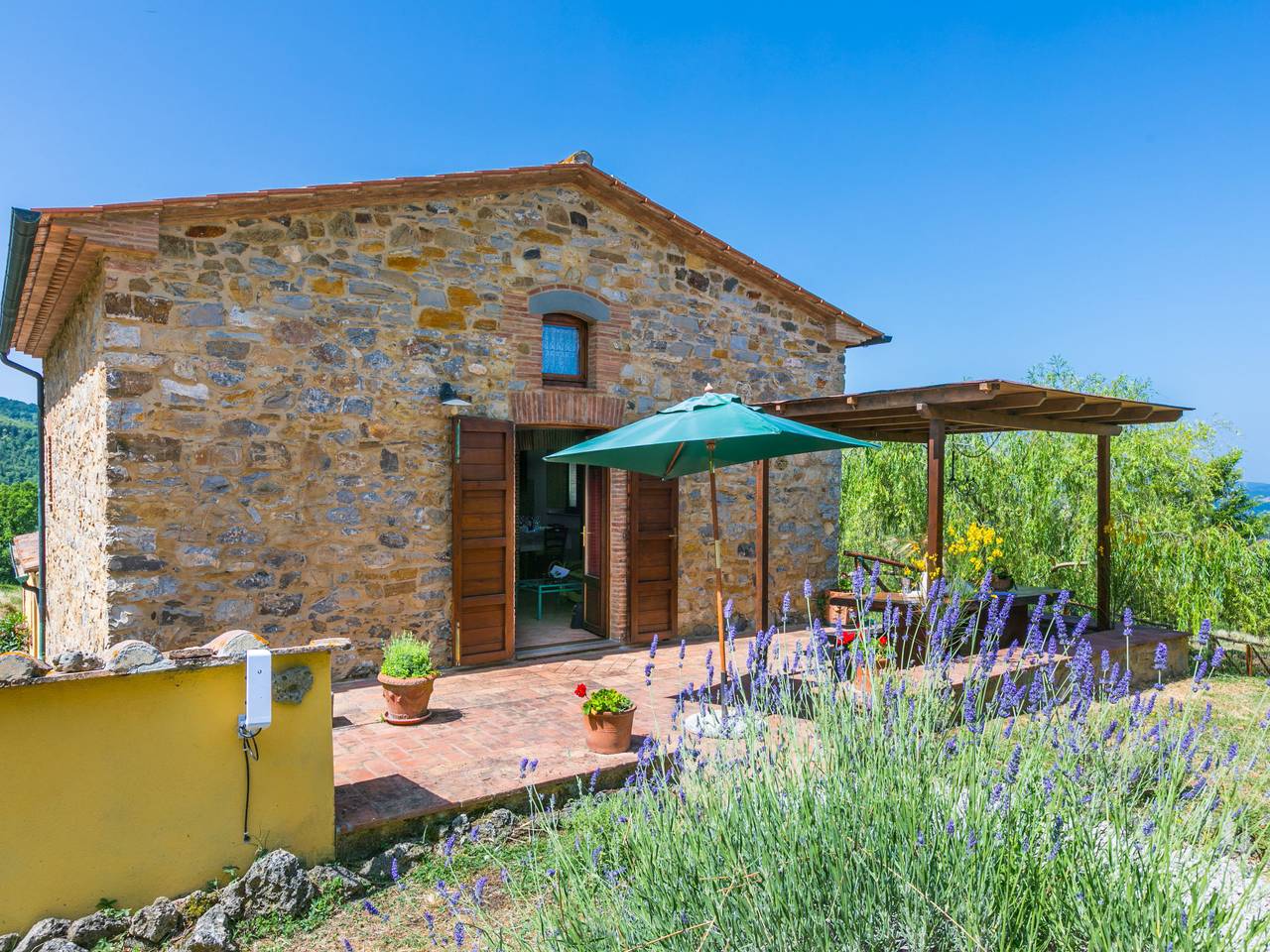 Pino di Sopra in Riserva Naturale di Monterufoli