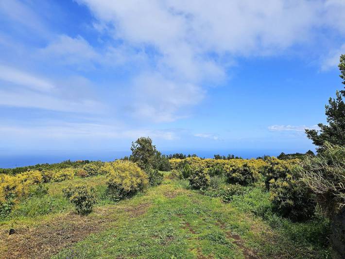Ferienhaus für 4 Personen, mit Terrasse und Garten, kinderfreundlich auf La Palma - 3