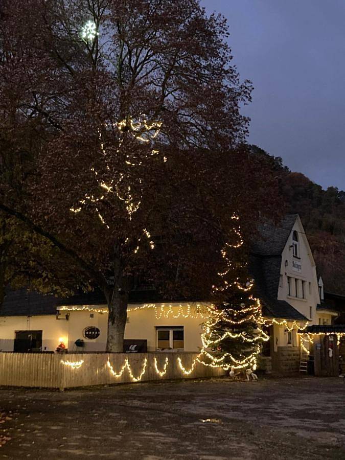 Gîte pour 7 personnes, avec jardin à Ralingen - 2