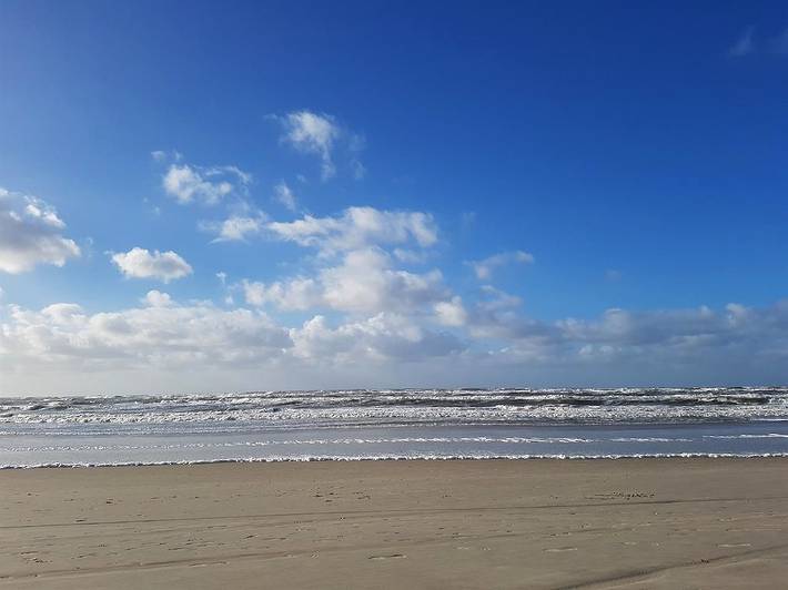 Ganze Ferienwohnung, Ferienwohnung Wiese in Tating, Eiderstedt
