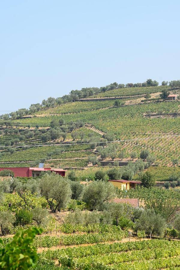 Apartamento inteiro, Suite in Cambres, Vale do Douro