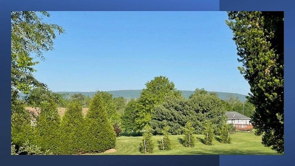 Visit our charming cottage this Fall & Winter. Enjoy the Scenery & Ski Slopes. in Cashtown-McKnightstown, Adams County (PA)