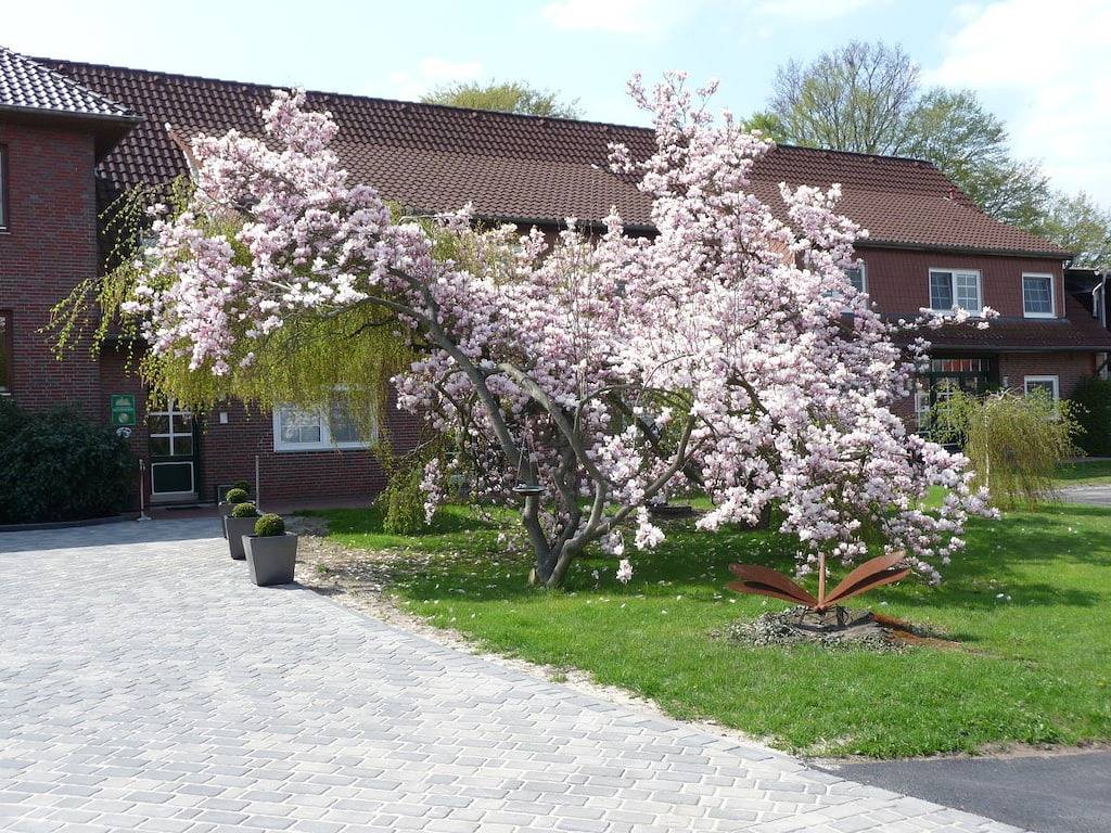 Ferienwohnung mit 1 Schlafzimmer in Mardorf, Neustadt am Rübenberge