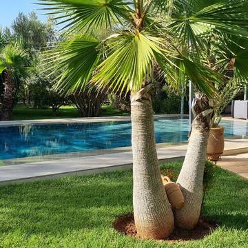 Maison d’hôte pour 4 personnes, avec piscine ainsi que vue et jardin dans Sidi Youssef Ben Ali