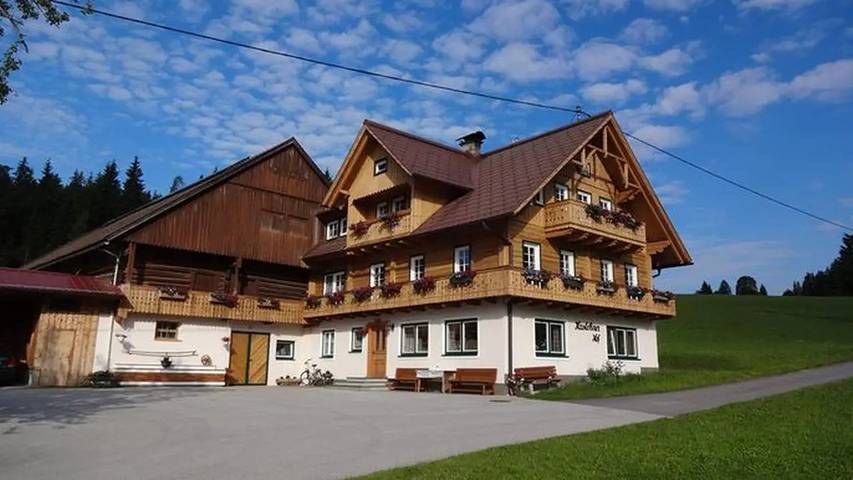 Bauernhof für 4 Personen, mit Garten in Ramsau am Dachstein - 2