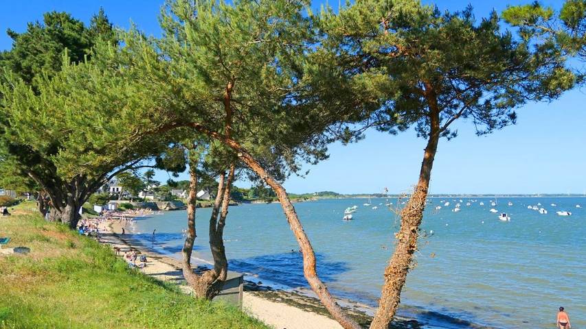 Gîte pour 3 personnes, avec vue sur le lac ainsi que jardin et vue dans Grande plage de Kervoyal
