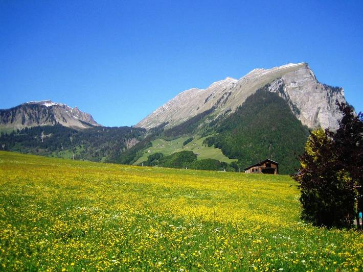 Ferienwohnung für 2 Personen, mit Balkon und Garten in Au - 3