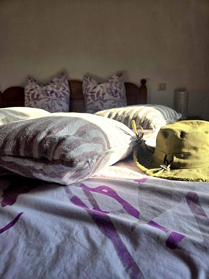 Location de vacances pour 8 personnes, avec jardin et terrasse à Luc-sur-Orbieu - 4