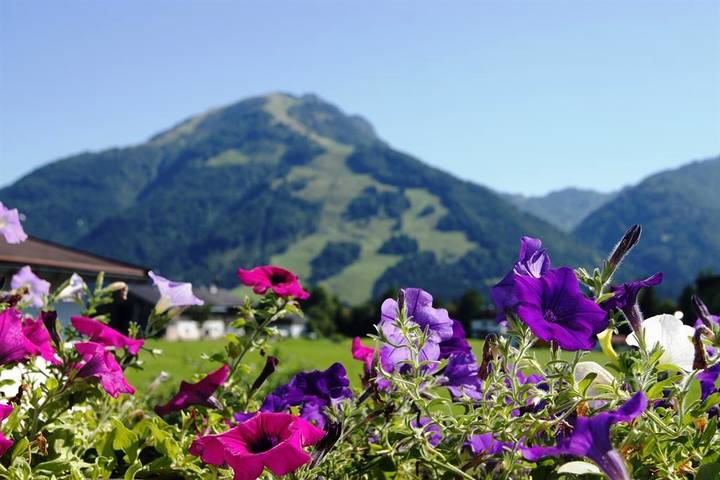 Ferienwohnung für 2 Personen, mit Garten und Balkon sowie Sauna, kinderfreundlich in Kössen - 3