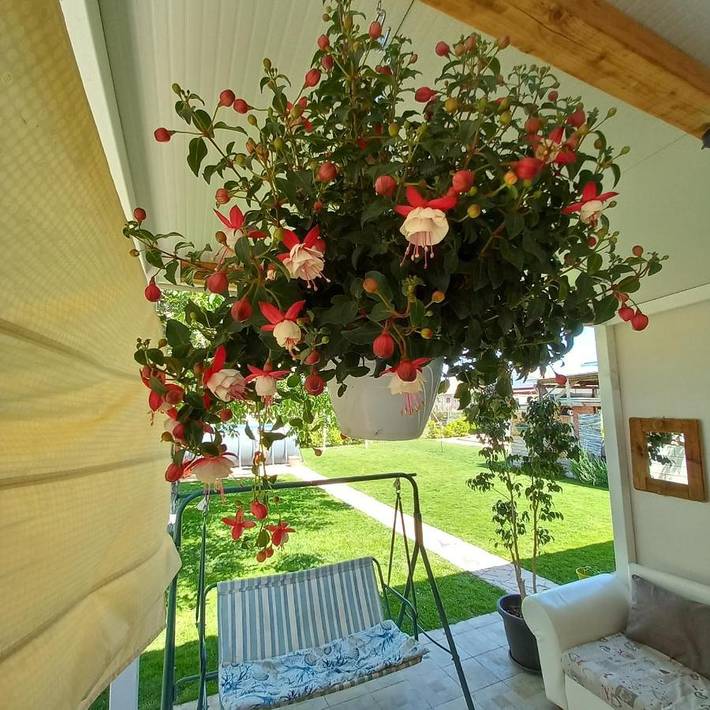 Appartamento per 4 persone, con Terrazza e Giardino nonché Piscina e Panorama a Comiso