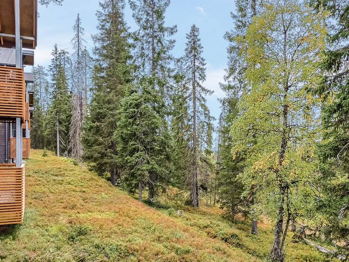 Ganze Wohnung, Karhunvartijan pirtti c 2 in Ruka, Nordösterbotten