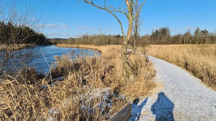 Ferienhaus für 7 Personen, mit Garten und Pool, mit Haustier in Silkeborg - 4