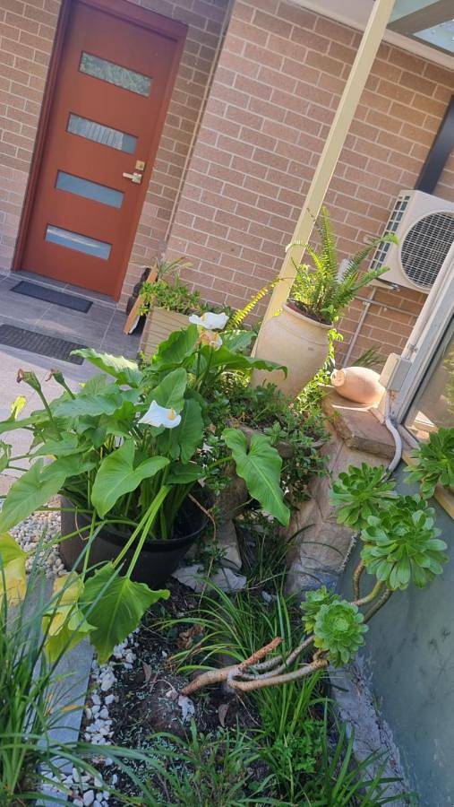 Villa pour 4 personnes à Sydney - 3