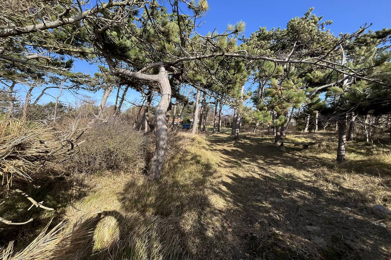 2 bedroom pet friendly home in Sjællands Odde in Yderby Lyng, Sjællands Odde