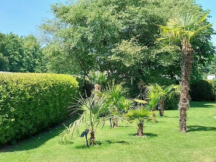 Ferienhaus für 4 Personen, mit Terrasse und Garten in Naturpark Lahn-Dill-Bergland - 3