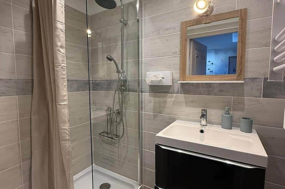 Apartamento entero, A completar in Troyes, Aube (desambiguación)